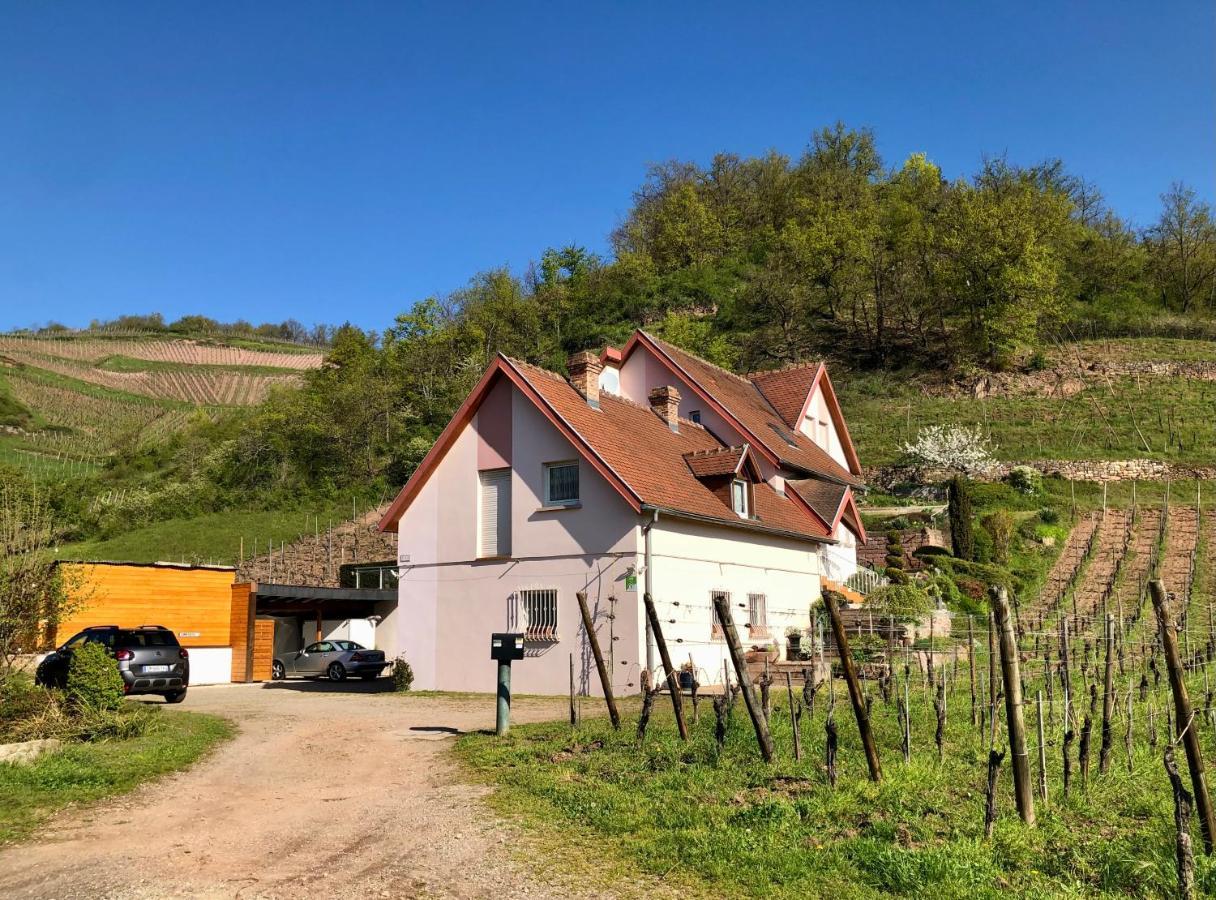 Le Gite Du Sommerberg Niedermorschwihr 외부 사진
